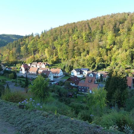 Ferienwohnung Gerken Wieda Kültér fotó